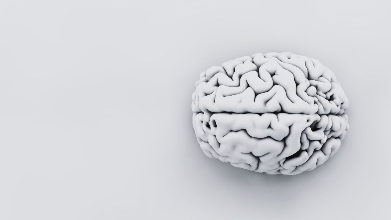 Artificial Intelligence” Just a Fancy Way to Say “Fake”?